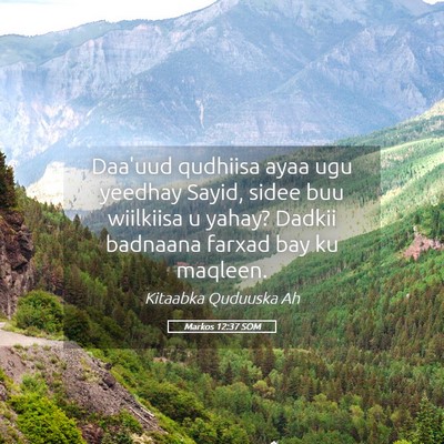 Picture 05 - Markos 12:37 SOM - Daa'uud qudhiisa ayaa ugu yeedhay Sayid, sidee - Bible Verse Picture