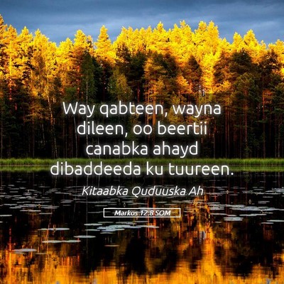 Picture 05 - Markos 12:8 SOM - Way qabteen, wayna dileen, oo beertii canabka - Bible Verse Picture