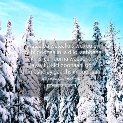 Picture 05 - Markos 13:12 SOM - Walaalba walaalkiis wuxuu u dhiibi doonaa in la - Bible Verse Picture