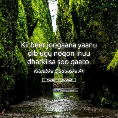 Picture 05 - Markos 13:16 SOM - Kii beer joogaana yaanu dib ugu noqon inuu - Bible Verse Picture