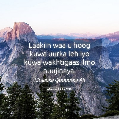 Picture 05 - Markos 13:17 SOM - Laakiin waa u hoog kuwa uurka leh iyo kuwa - Bible Verse Picture