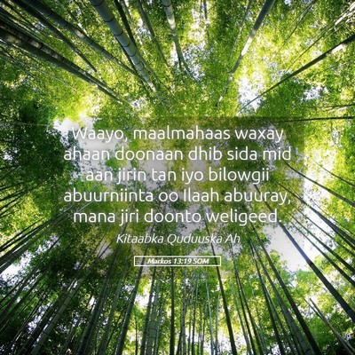 Picture 05 - Markos 13:19 SOM - Waayo, maalmahaas waxay ahaan doonaan dhib sida - Bible Verse Picture