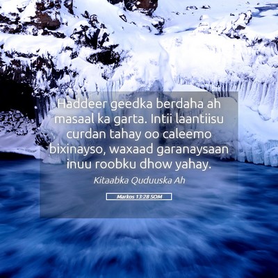 Picture 05 - Markos 13:28 SOM - Haddeer geedka berdaha ah masaal ka garta. Intii - Bible Verse Picture