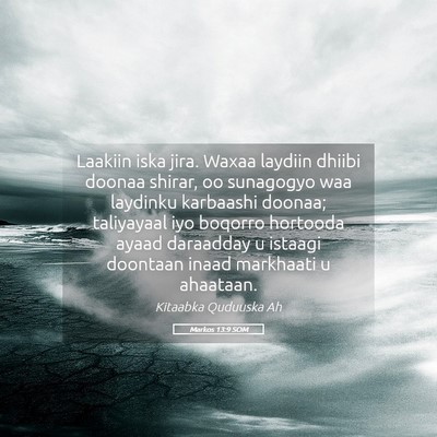Picture 05 - Markos 13:9 SOM - Laakiin iska jira. Waxaa laydiin dhiibi doonaa - Bible Verse Picture