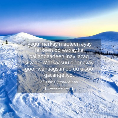 Picture 05 - Markos 14:11 SOM - Iyagu markay maqleen ayay farxeen oo waxay ka - Bible Verse Picture