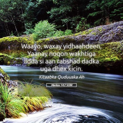 Picture 05 - Markos 14:2 SOM - Waayo, waxay yidhaahdeen, Yaanay noqon wakhtiga - Bible Verse Picture
