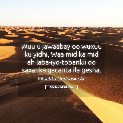 Picture 05 - Markos 14:20 SOM - Wuu u jawaabay oo wuxuu ku yidhi, Waa mid ka mid - Bible Verse Picture