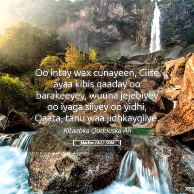Picture 05 - Markos 14:22 SOM - Oo intay wax cunayeen, Ciise ayaa kibis qaaday oo - Bible Verse Picture