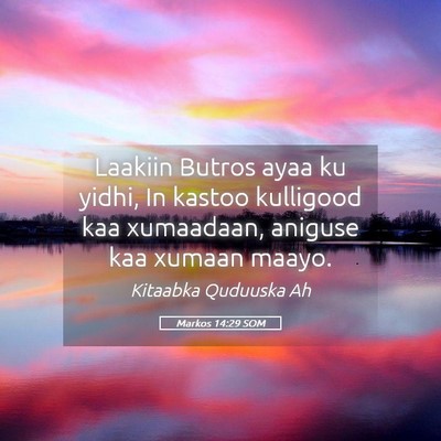 Picture 05 - Markos 14:29 SOM - Laakiin Butros ayaa ku yidhi, In kastoo kulligood - Bible Verse Picture