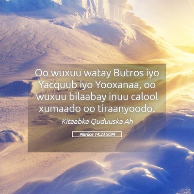 Picture 05 - Markos 14:33 SOM - Oo wuxuu watay Butros iyo Yacquub iyo Yooxanaa, - Bible Verse Picture