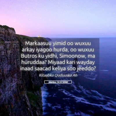 Picture 05 - Markos 14:37 SOM - Markaasuu yimid oo wuxuu arkay iyagoo hurda, oo - Bible Verse Picture