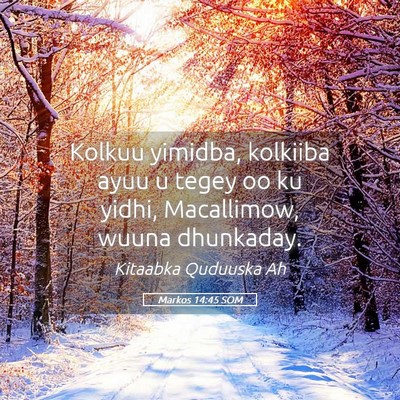 Picture 05 - Markos 14:45 SOM - Kolkuu yimidba, kolkiiba ayuu u tegey oo ku - Bible Verse Picture
