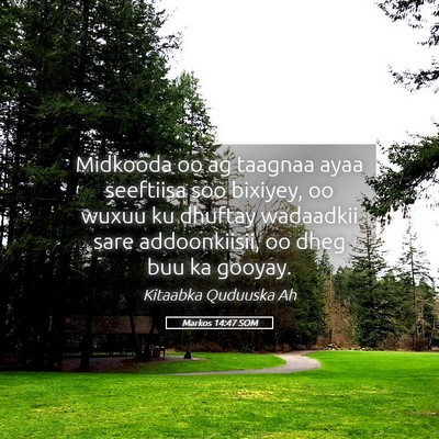 Picture 05 - Markos 14:47 SOM - Midkooda oo ag taagnaa ayaa seeftiisa soo - Bible Verse Picture