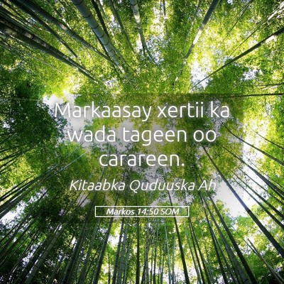Picture 05 - Markos 14:50 SOM - Markaasay xertii ka wada tageen oo - Bible Verse Picture