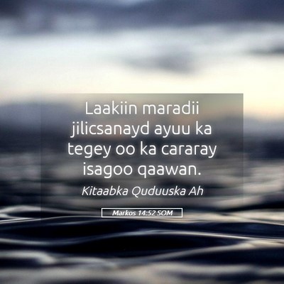 Picture 05 - Markos 14:52 SOM - Laakiin maradii jilicsanayd ayuu ka tegey oo ka - Bible Verse Picture