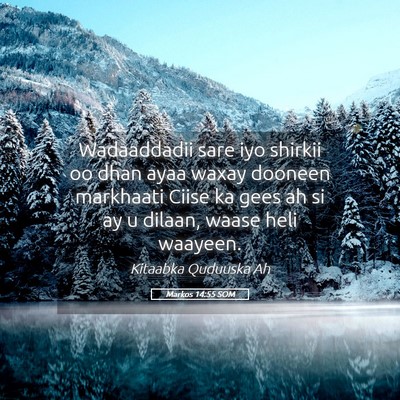 Picture 05 - Markos 14:55 SOM - Wadaaddadii sare iyo shirkii oo dhan ayaa waxay - Bible Verse Picture