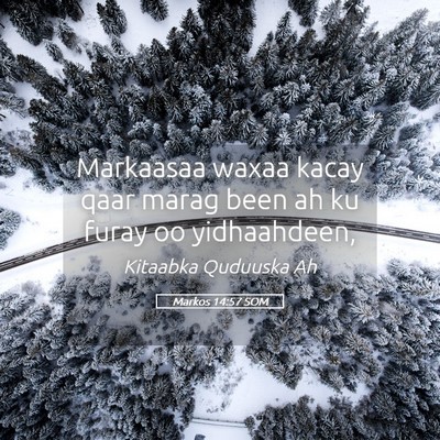 Picture 05 - Markos 14:57 SOM - Markaasaa waxaa kacay qaar marag been ah ku furay - Bible Verse Picture