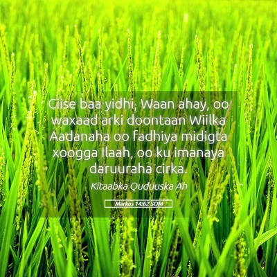Picture 05 - Markos 14:62 SOM - Ciise baa yidhi, Waan ahay, oo waxaad arki - Bible Verse Picture