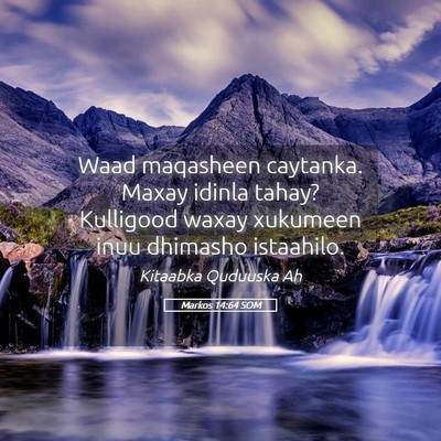 Picture 05 - Markos 14:64 SOM - Waad maqasheen caytanka. Maxay idinla tahay? - Bible Verse Picture
