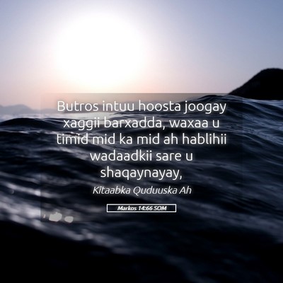 Picture 05 - Markos 14:66 SOM - Butros intuu hoosta joogay xaggii barxadda, waxaa - Bible Verse Picture