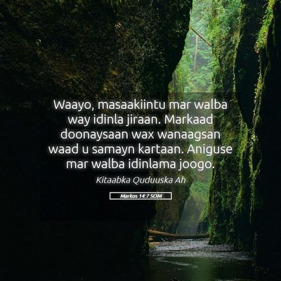 Picture 05 - Markos 14:7 SOM - Waayo, masaakiintu mar walba way idinla jiraan. - Bible Verse Picture