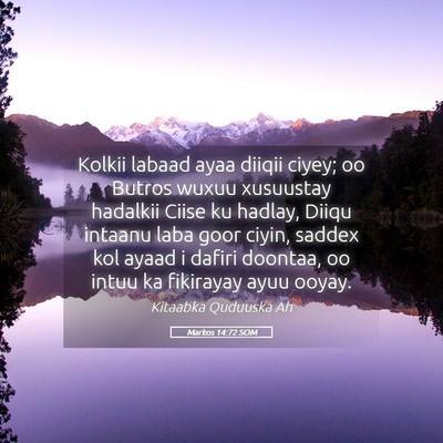 Picture 05 - Markos 14:72 SOM - Kolkii labaad ayaa diiqii ciyey; oo Butros wuxuu - Bible Verse Picture