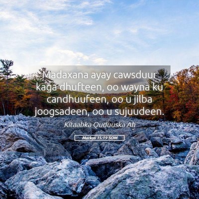 Picture 05 - Markos 15:19 SOM - Madaxana ayay cawsduur kaga dhufteen, oo wayna ku - Bible Verse Picture