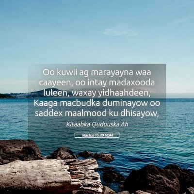 Picture 05 - Markos 15:29 SOM - Oo kuwii ag marayayna waa caayeen, oo intay - Bible Verse Picture