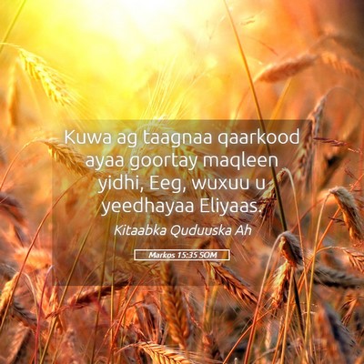 Picture 05 - Markos 15:35 SOM - Kuwa ag taagnaa qaarkood ayaa goortay maqleen - Bible Verse Picture