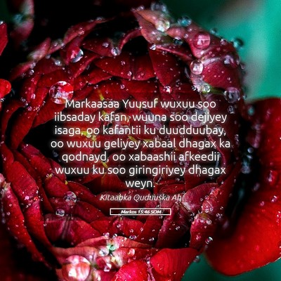 Picture 05 - Markos 15:46 SOM - Markaasaa Yuusuf wuxuu soo iibsaday kafan, wuuna - Bible Verse Picture