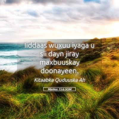 Picture 05 - Markos 15:6 SOM - Iiddaas wuxuu iyaga u sii dayn jiray maxbuuskay - Bible Verse Picture