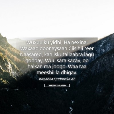 Picture 05 - Markos 16:6 SOM - Wuxuu ku yidhi, Ha nexina. Waxaad doonaysaan - Bible Verse Picture