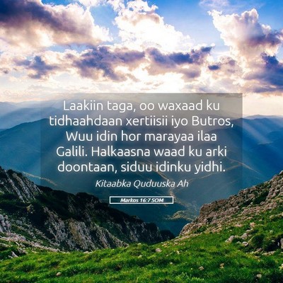 Picture 05 - Markos 16:7 SOM - Laakiin taga, oo waxaad ku tidhaahdaan xertiisii - Bible Verse Picture