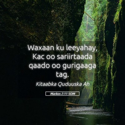 Picture 05 - Markos 2:11 SOM - Waxaan ku leeyahay, Kac oo sariirtaada qaado oo - Bible Verse Picture