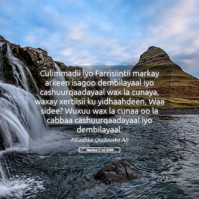 Picture 05 - Markos 2:16 SOM - Culimmadii iyo Farrisiintii markay arkeen isagoo - Bible Verse Picture