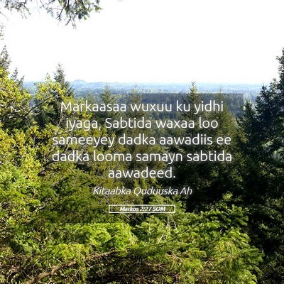 Picture 05 - Markos 2:27 SOM - Markaasaa wuxuu ku yidhi iyaga, Sabtida waxaa loo - Bible Verse Picture