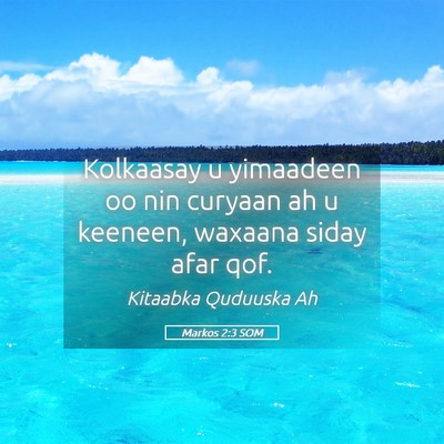 Picture 05 - Markos 2:3 SOM - Kolkaasay u yimaadeen oo nin curyaan ah u - Bible Verse Picture