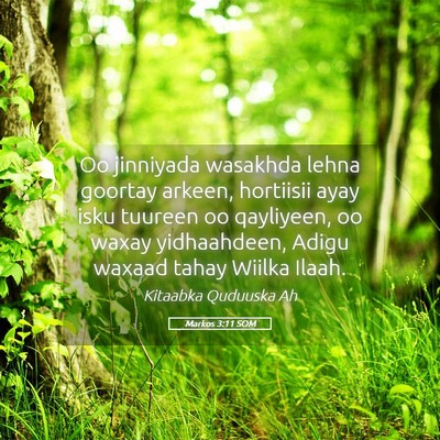 Picture 05 - Markos 3:11 SOM - Oo jinniyada wasakhda lehna goortay arkeen, - Bible Verse Picture