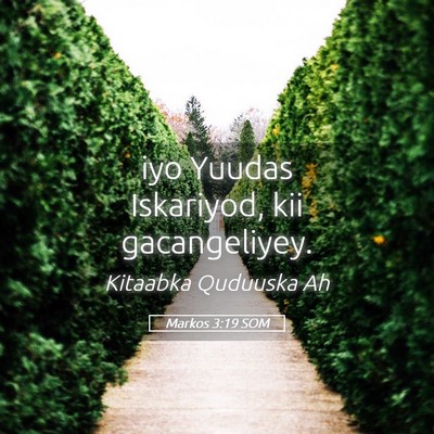 Picture 05 - Markos 3:19 SOM - iyo Yuudas Iskariyod, kii - Bible Verse Picture