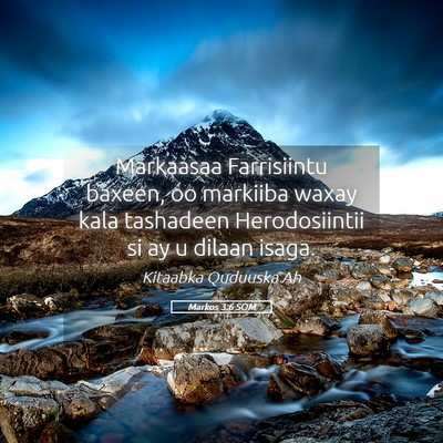 Picture 05 - Markos 3:6 SOM - Markaasaa Farrisiintu baxeen, oo markiiba waxay - Bible Verse Picture