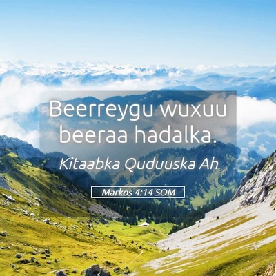 Picture 05 - Markos 4:14 SOM - Beerreygu wuxuu beeraa - Bible Verse Picture