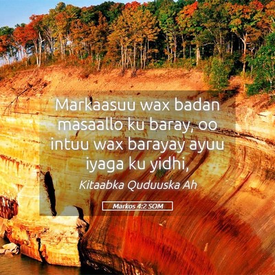 Picture 05 - Markos 4:2 SOM - Markaasuu wax badan masaallo ku baray, oo intuu - Bible Verse Picture