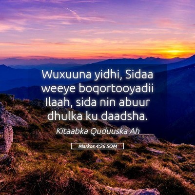 Picture 05 - Markos 4:26 SOM - Wuxuuna yidhi, Sidaa weeye boqortooyadii Ilaah, - Bible Verse Picture
