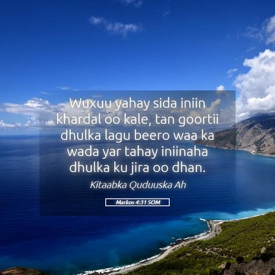 Picture 05 - Markos 4:31 SOM - Wuxuu yahay sida iniin khardal oo kale, tan - Bible Verse Picture