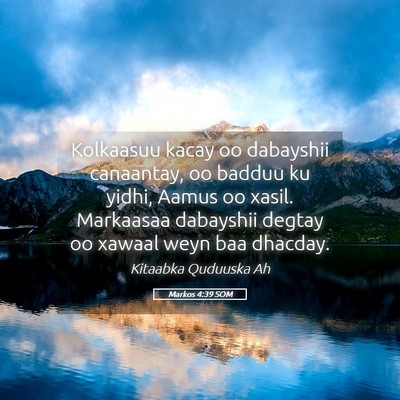 Picture 05 - Markos 4:39 SOM - Kolkaasuu kacay oo dabayshii canaantay, oo badduu - Bible Verse Picture