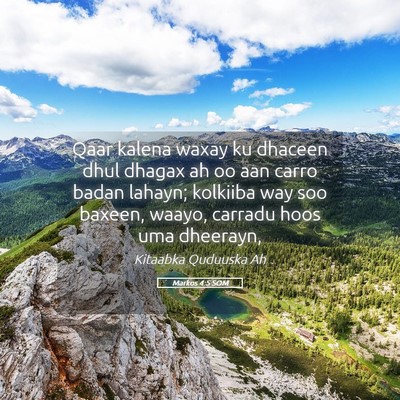 Picture 05 - Markos 4:5 SOM - Qaar kalena waxay ku dhaceen dhul dhagax ah oo - Bible Verse Picture