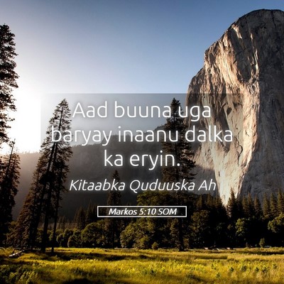 Picture 05 - Markos 5:10 SOM - Aad buuna uga baryay inaanu dalka ka - Bible Verse Picture
