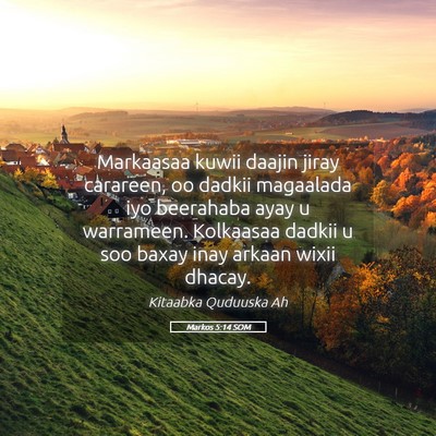 Picture 05 - Markos 5:14 SOM - Markaasaa kuwii daajin jiray carareen, oo dadkii - Bible Verse Picture