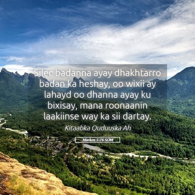Picture 05 - Markos 5:26 SOM - Silec badanna ayay dhakhtarro badan ka heshay, oo - Bible Verse Picture
