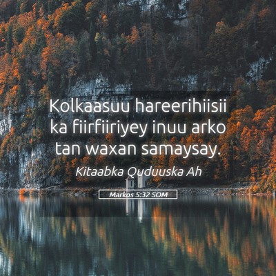 Picture 05 - Markos 5:32 SOM - Kolkaasuu hareerihiisii ka fiirfiiriyey inuu arko - Bible Verse Picture